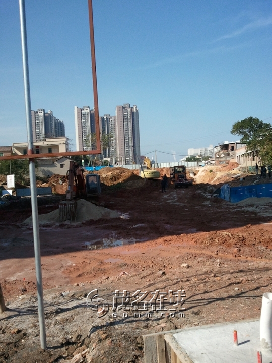 WP_006981.jpg