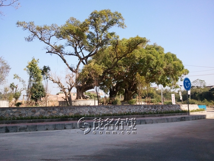 WP_006961.jpg