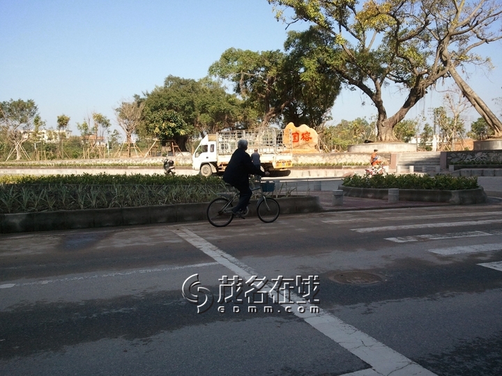 WP_006955.jpg