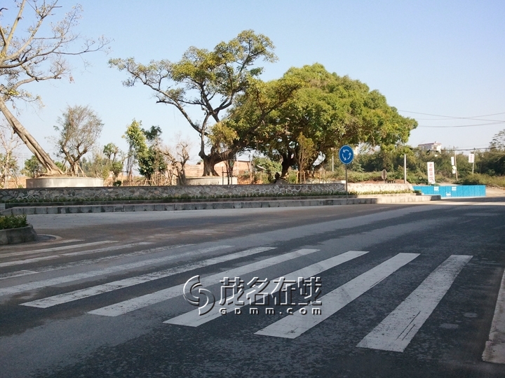 WP_006957.jpg
