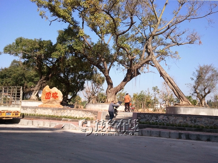 WP_006960.jpg