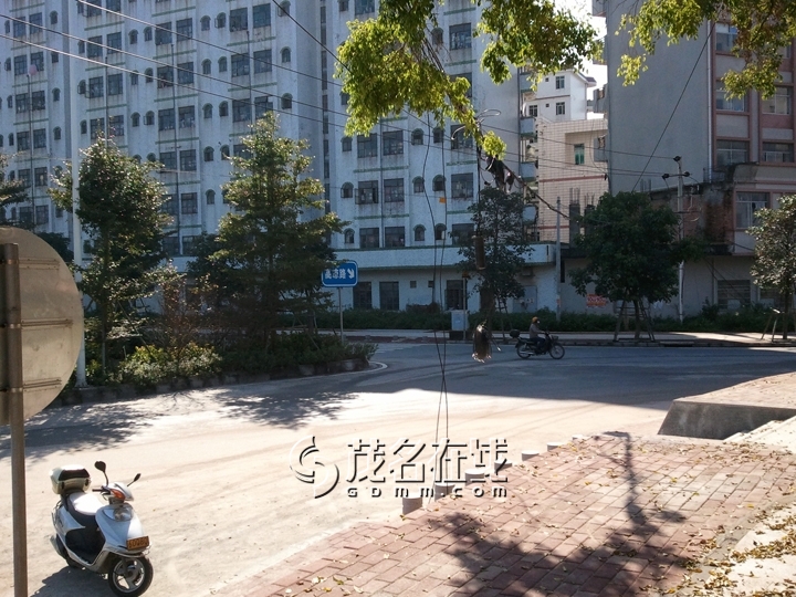 WP_006969.jpg
