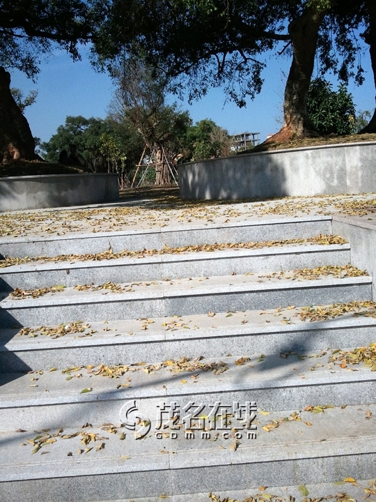 WP_006963.jpg