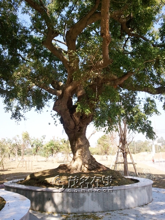 WP_006964.jpg