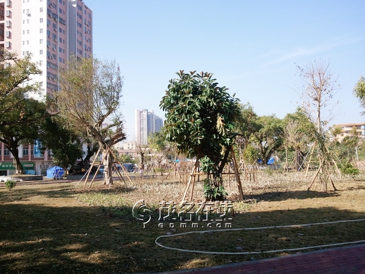 WP_006968.jpg