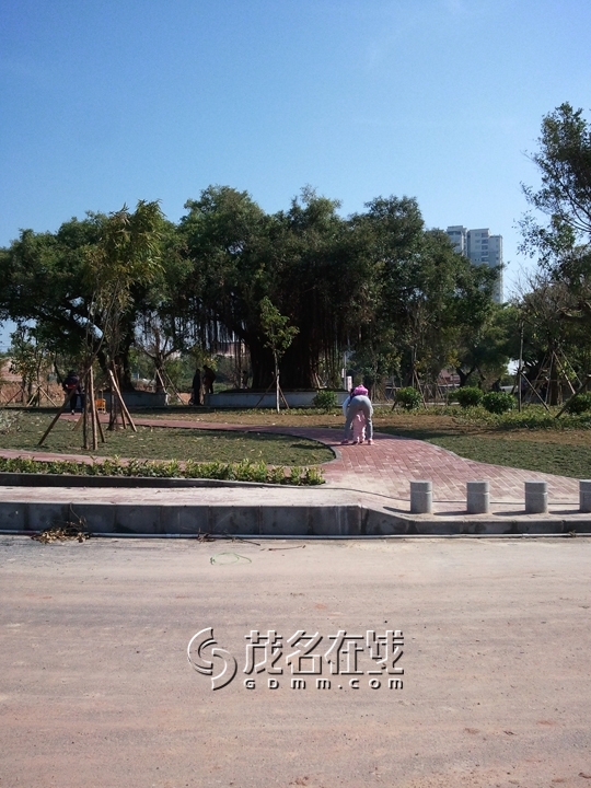 WP_006984.jpg