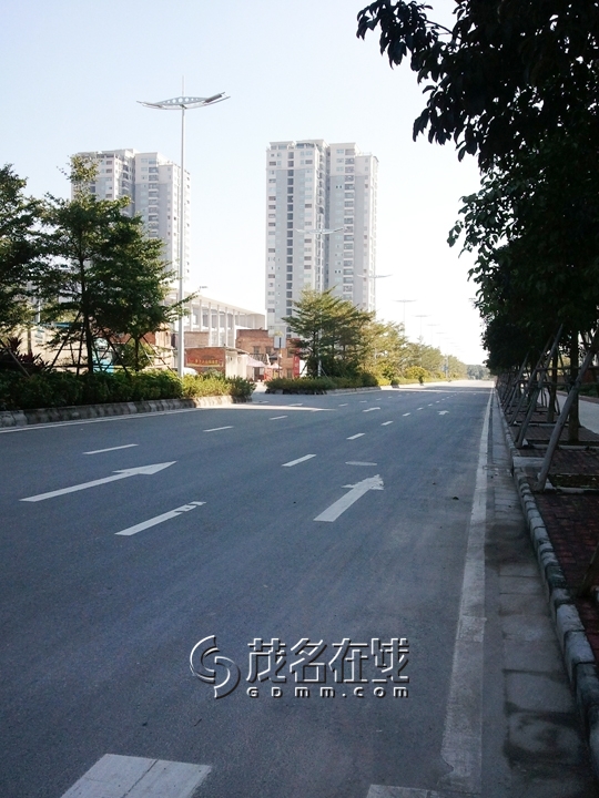 WP_006970.jpg