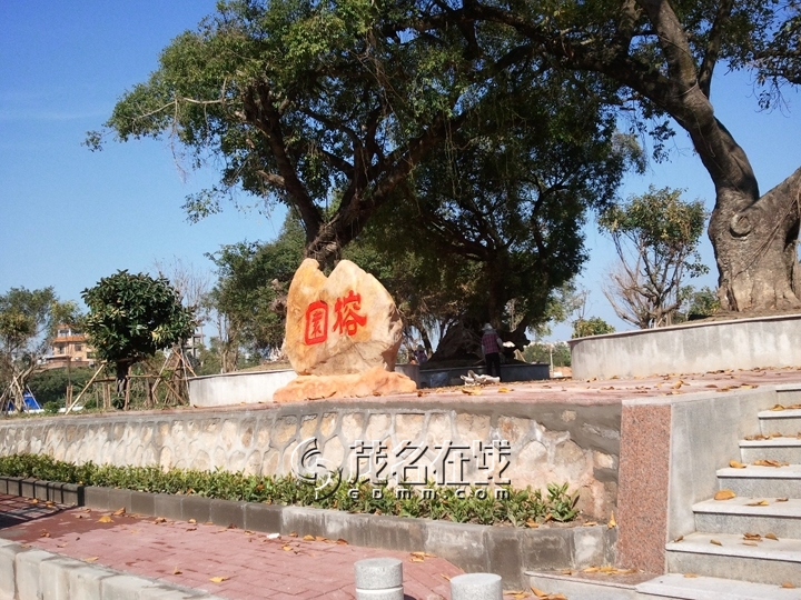 WP_006973.jpg