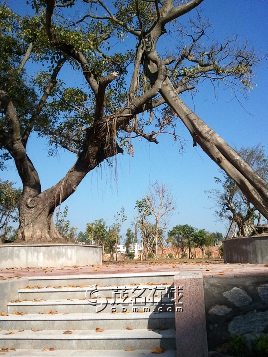 WP_006975.jpg