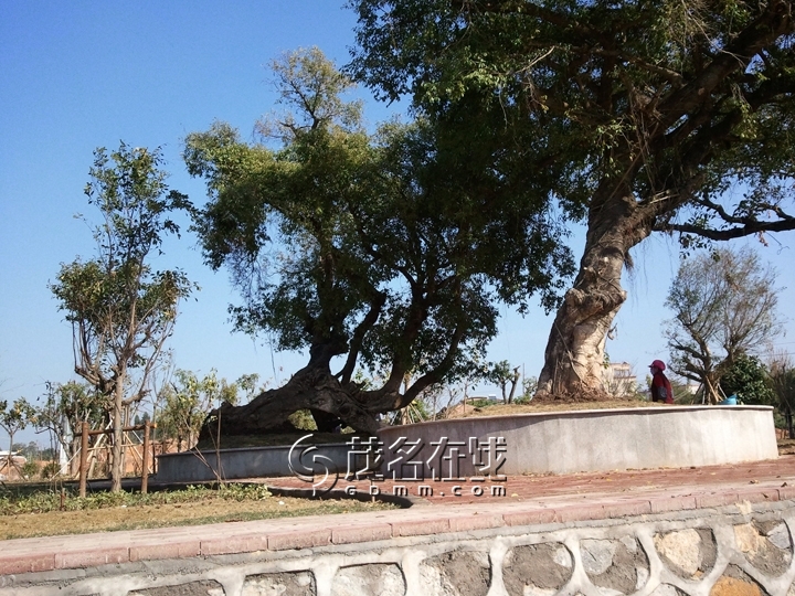 WP_006978.jpg