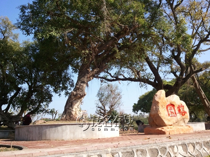 WP_006979.jpg