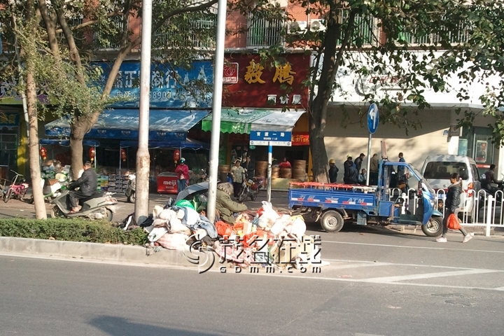WP_007021.jpg
