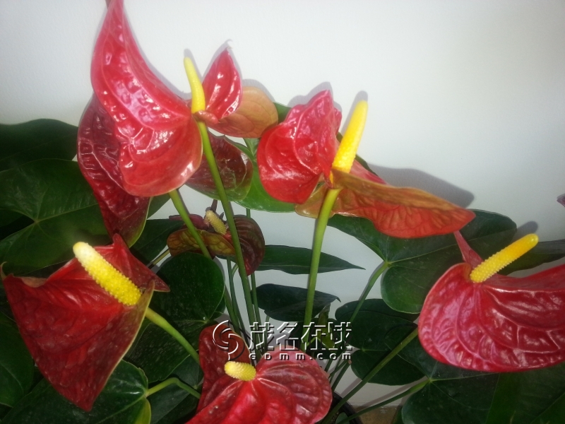 20150125_140741.jpg