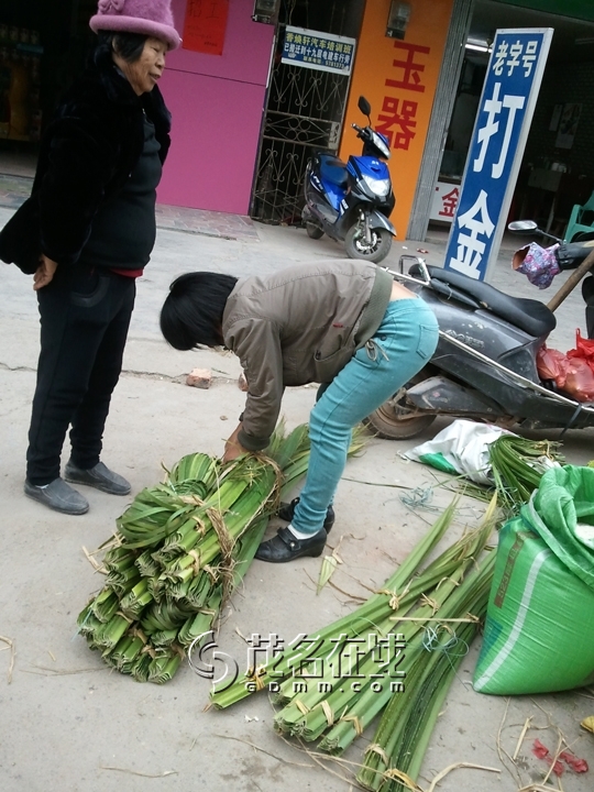 WP_007229.jpg