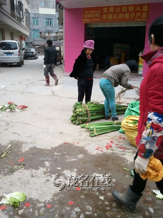 WP_007226.jpg