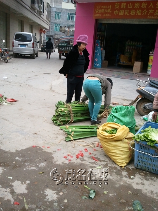 WP_007228.jpg