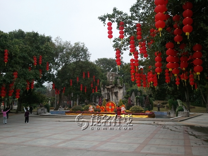 WP_007289.jpg