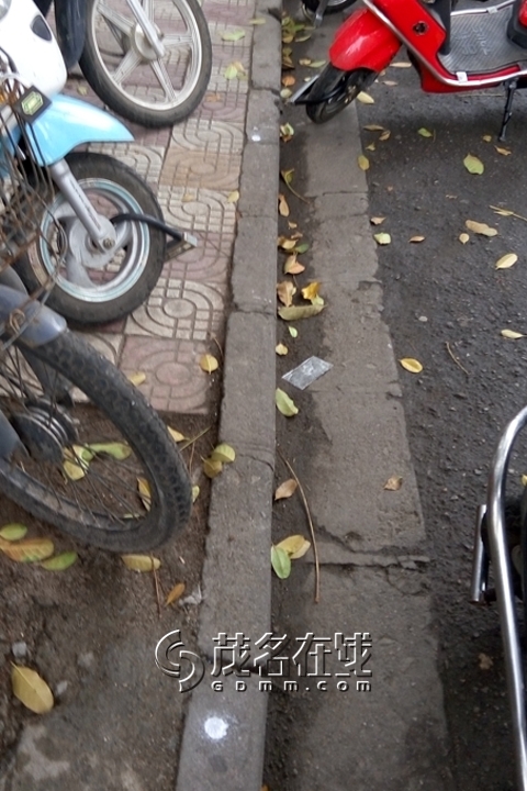 P50313-143442.jpg