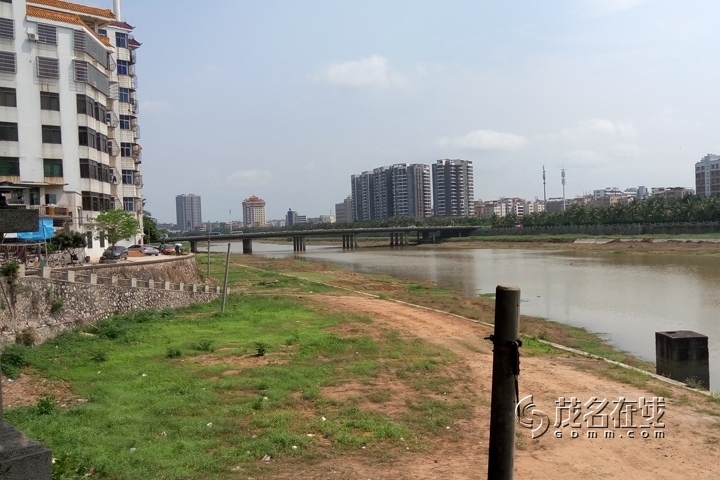 P50402-110042.jpg