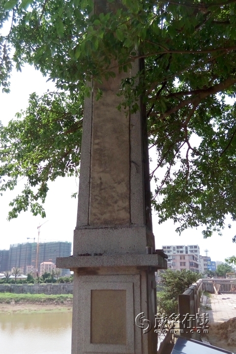 P50402-110110.jpg