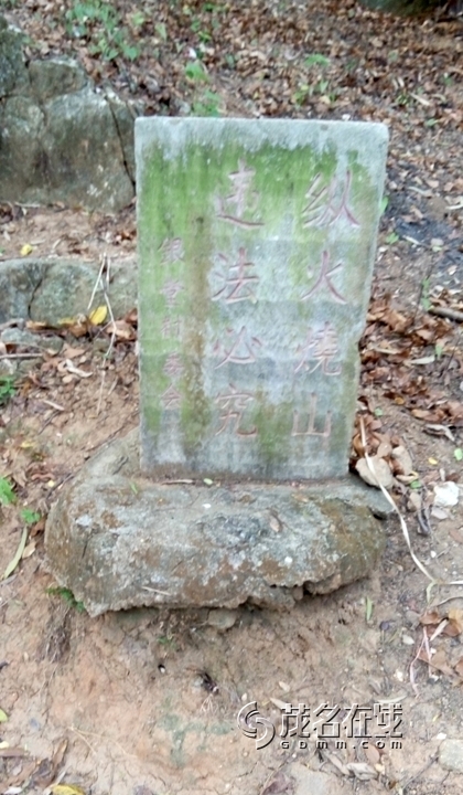 P50404-151905.jpg