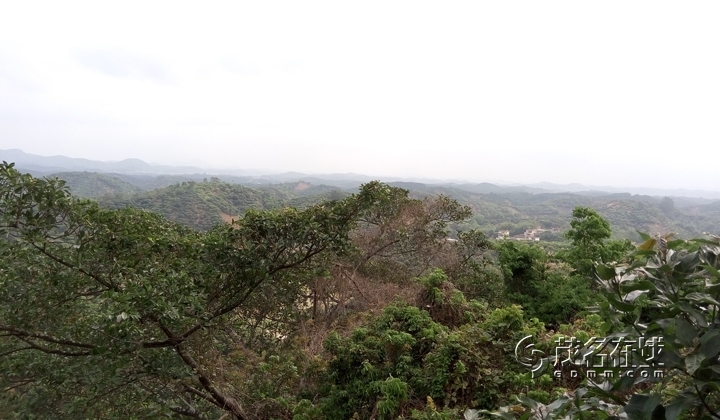 P50404-153041.jpg