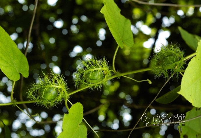 66019f9enb37a8b8ad509&amp;690.jpg