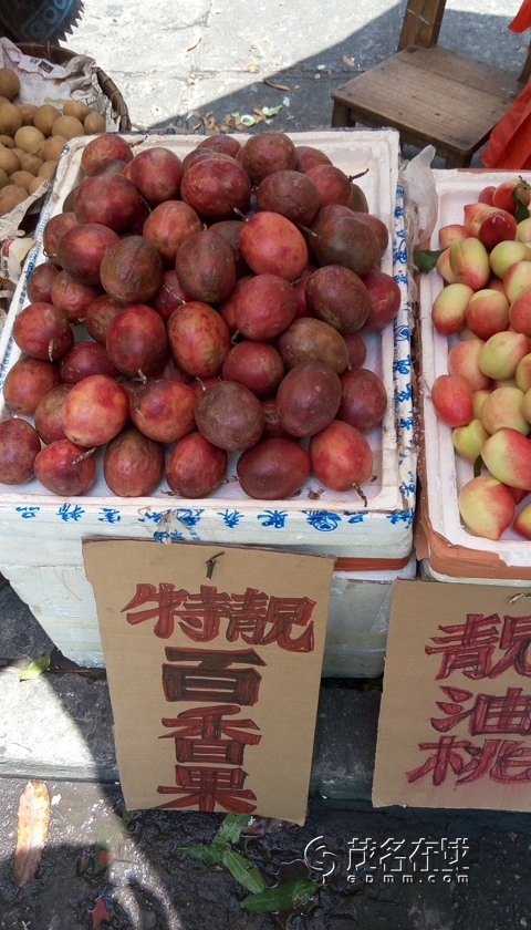 P50412-130814.jpg