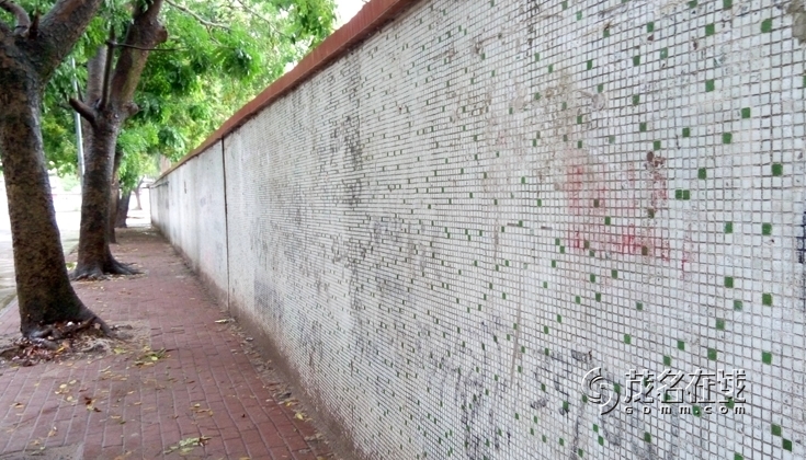 P50517-101453.jpg
