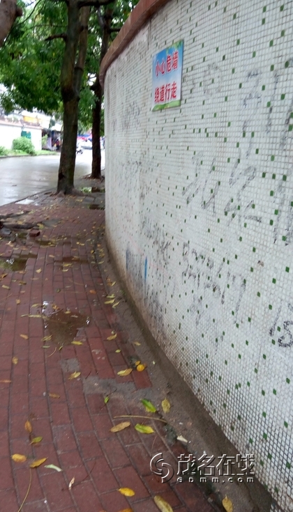 P50517-102823.jpg