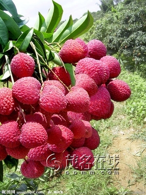 t01a7bccbd9808fc62d.jpg