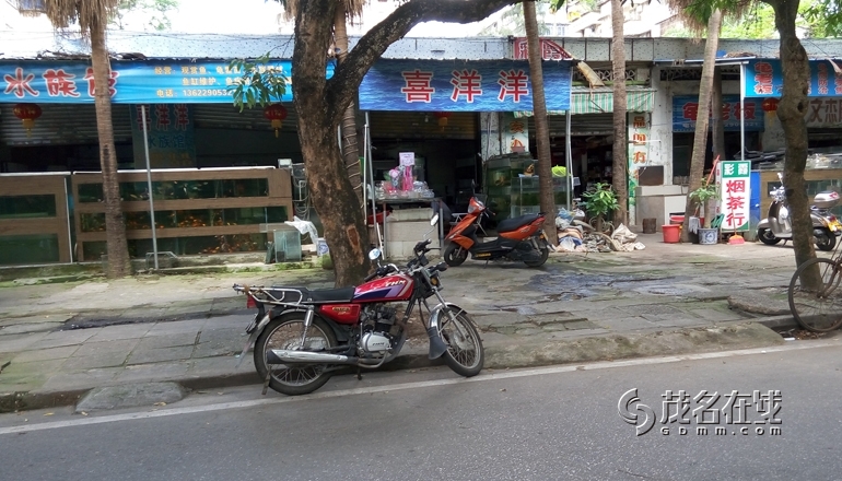 P50615-104544.jpg