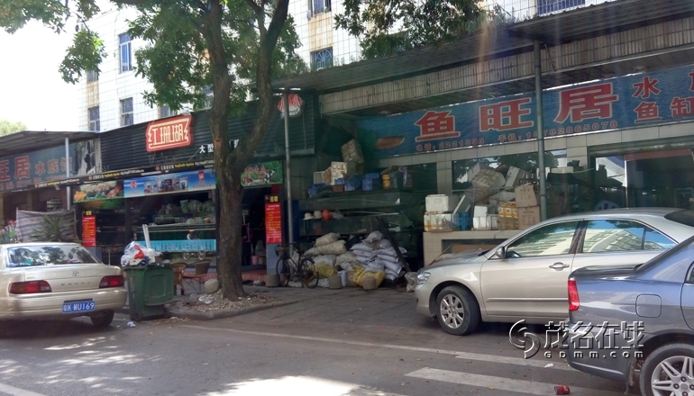 P50615-104649.jpg