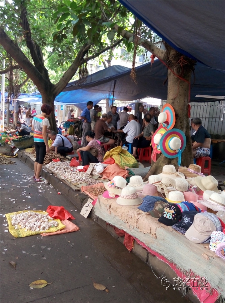 P50719-084214.jpg