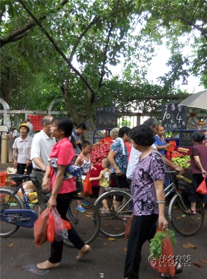 P50719-094020.jpg