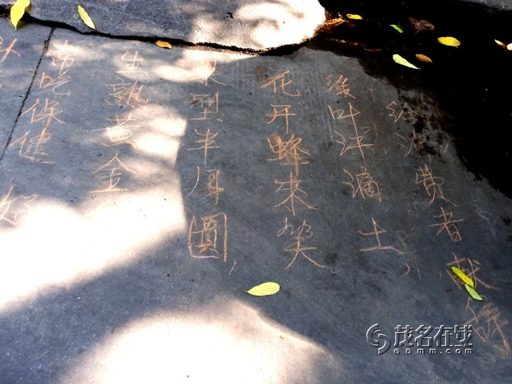 P50812-085308.jpg