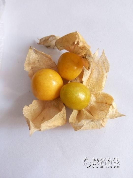 P50819-121008.jpg