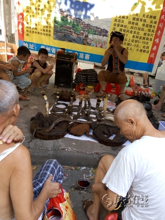 P50822-084916.jpg