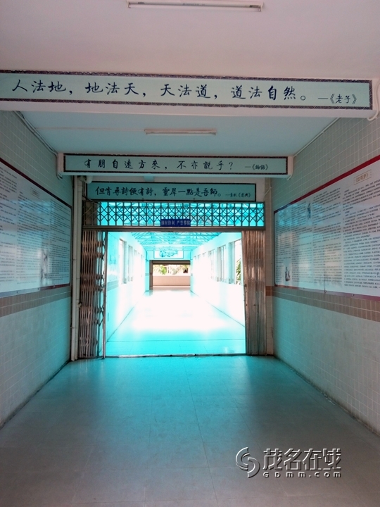P50901-101906.jpg