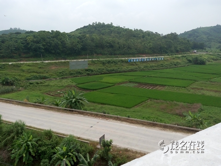 P50912-111839.jpg