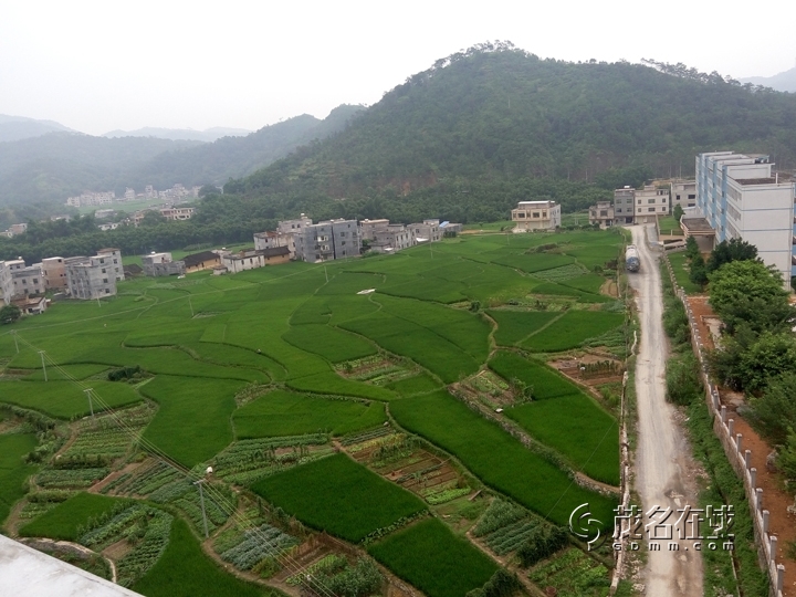 P50912-150116.jpg