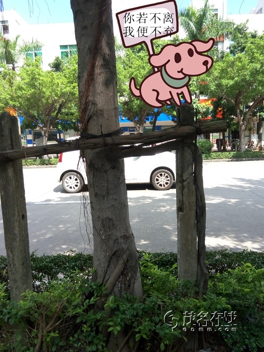 P50923-143022_.jpg