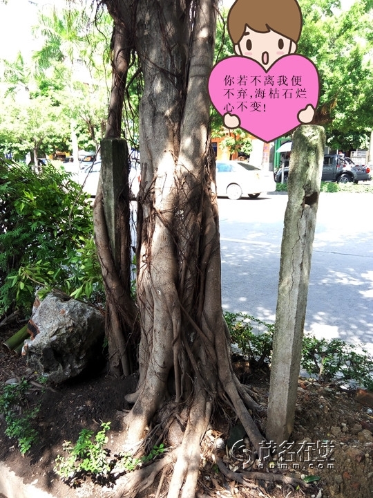 P50923-142522_.jpg