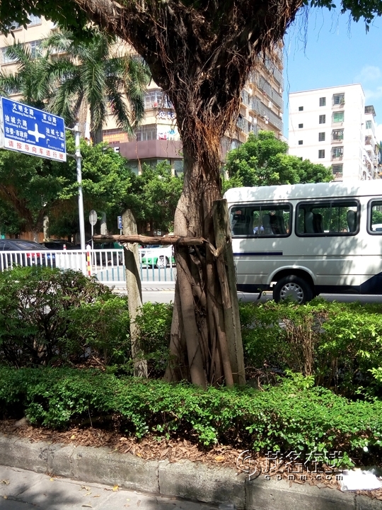 P50923-141829.jpg