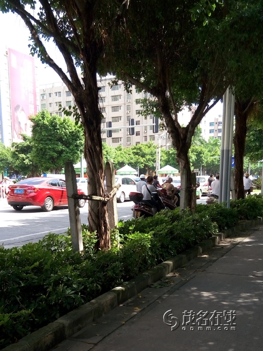 P50923-142119.jpg