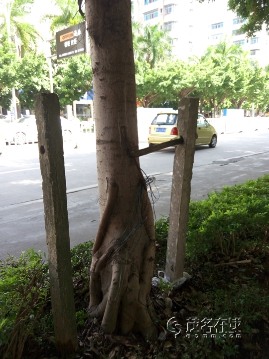 P50923-142344.jpg
