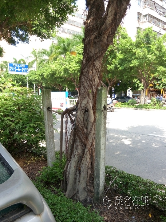 P50923-142443.jpg