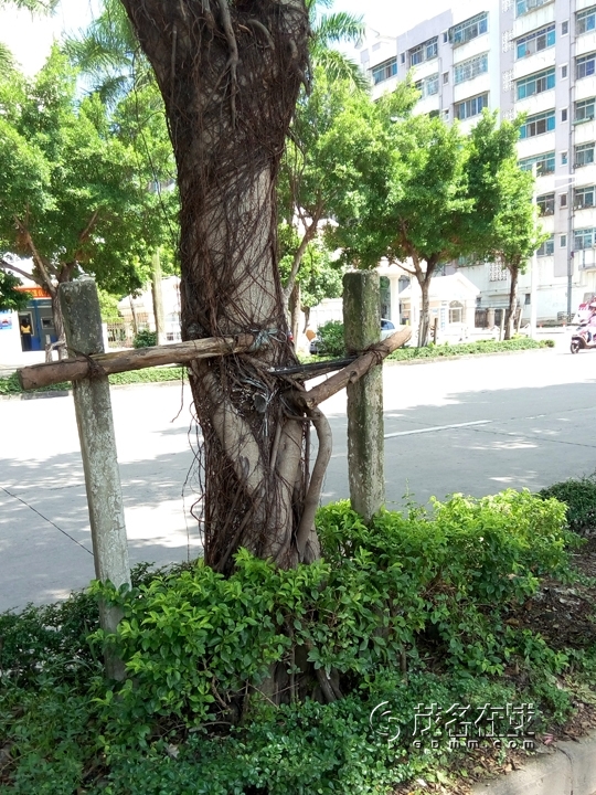 P50923-142648.jpg