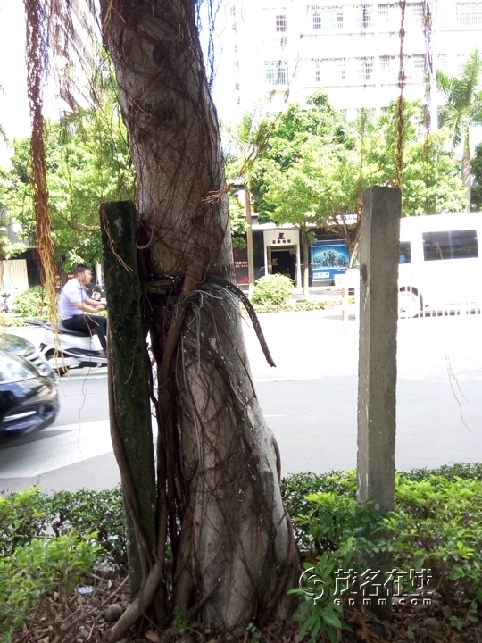 P50923-143109.jpg