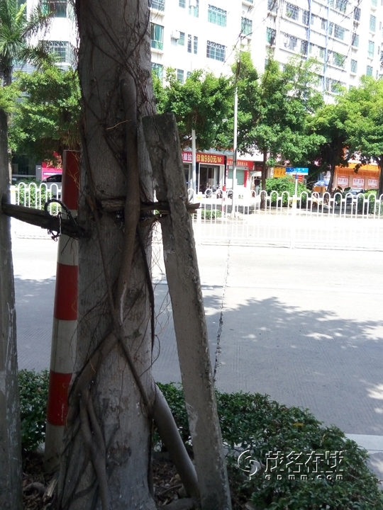 P50923-143143.jpg